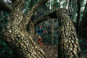 BIB: 
                            <button type="button" onclick="openModal(25392701)" class="btn btn-primary btn-sm float-right btn-popup" data-toggle="modal" data-target=".modal-high-quality">
                        <i class="fas fa-shopping-cart"></i> Add to Cart
                    </button>
                                            <button type="button" onclick="isThisMe(25392701, true)" class="btn btn-success btn-sm float-right btn-popup btn-isme hidden" data-toggle="tooltip" data-placement="bottom" title="นี่คือรูปของคุณใช่ไหม คลิกที่นี่เพื่อเอาเข้าอัลบั้ม">
                        <i class="fas fa-plus"></i> Add to album
                    </button>
                    <button type="button" onclick="isThisMe(25392701, false)" class="btn btn-warning btn-sm float-right btn-popup btn-isnotme hidden">
                        <i class="fas fa-ban"></i> Remove from album
                    </button>